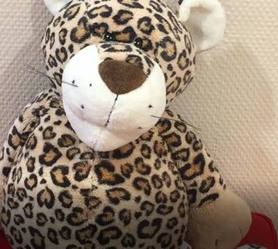 Familien- Infotag in der Johanniskirche Tiger.jpg