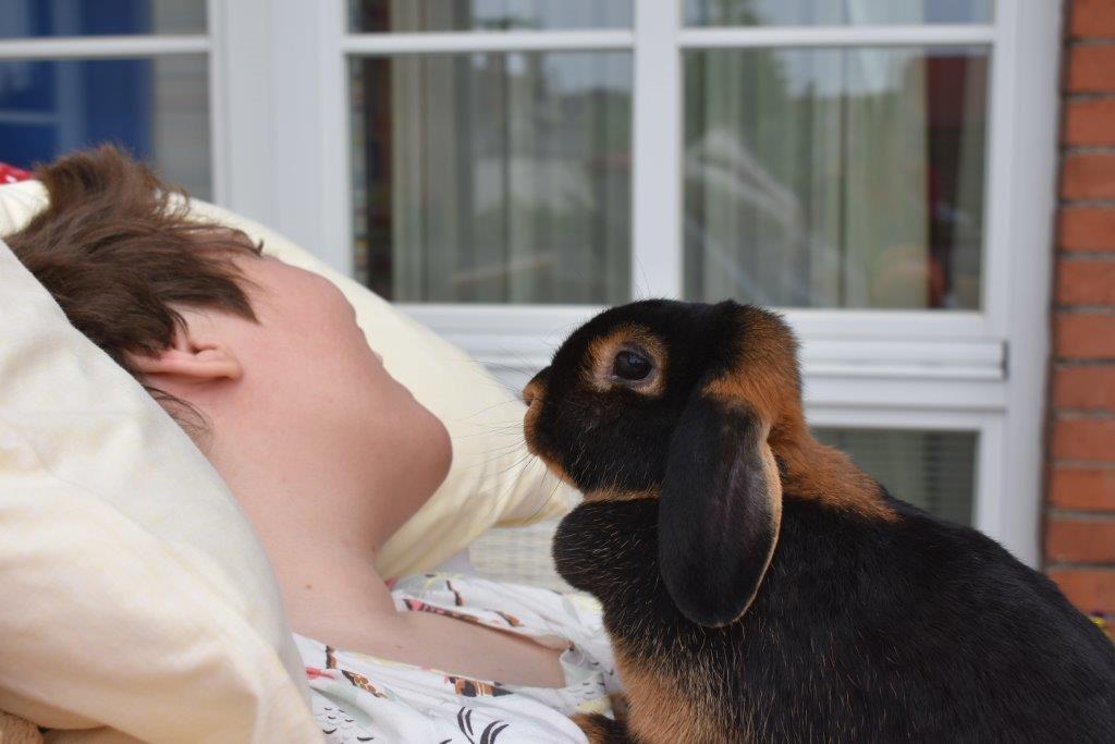 Namenssuche für neue Kaninchen erfolgreich: Pfiffi, Luise und Ottilie hoppeln durch das Kinderhospiz